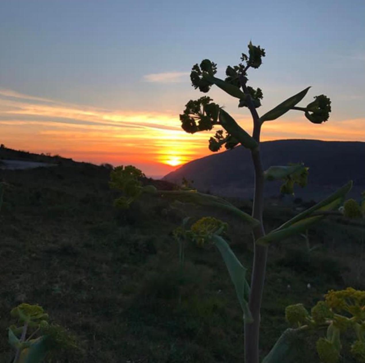 Bed and Breakfast In Sicilia Da Ciro Vita Exteriér fotografie