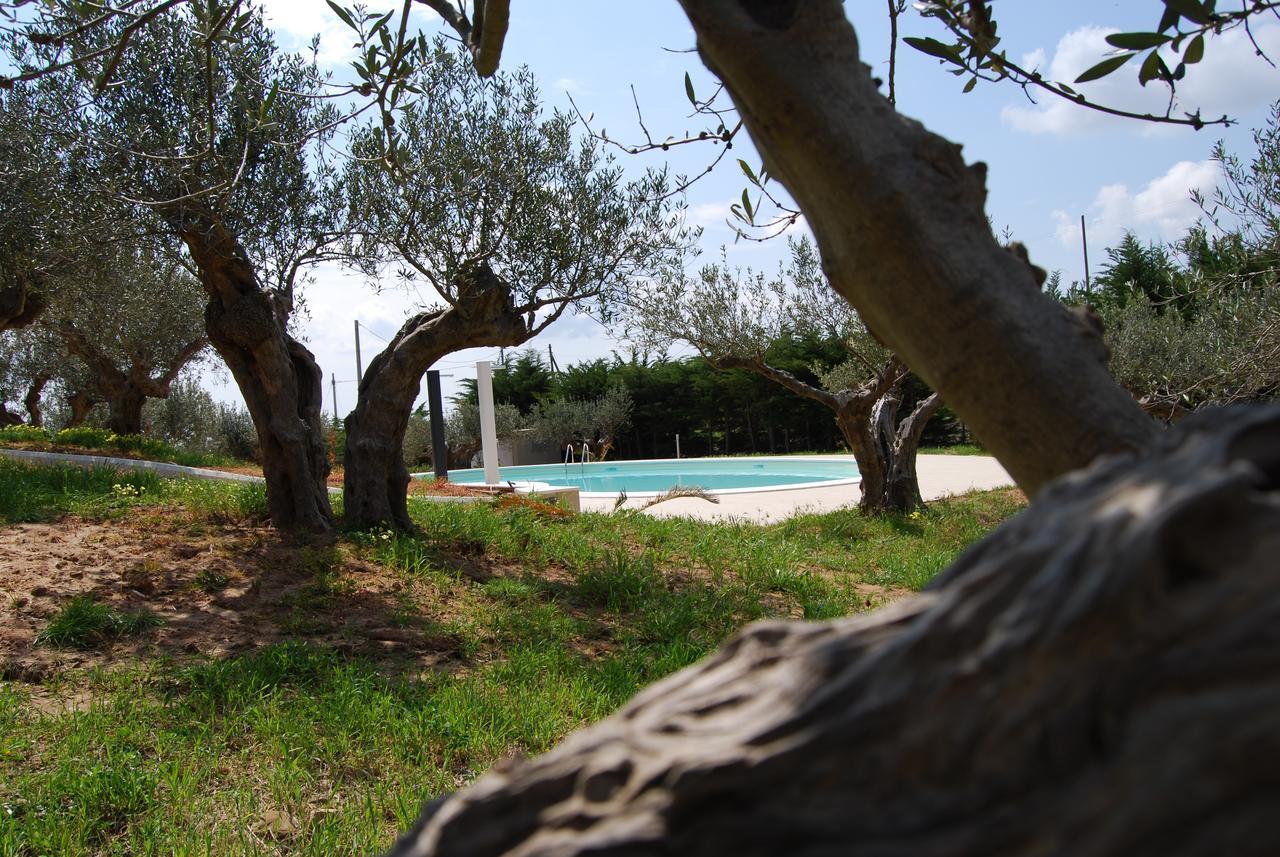 Bed and Breakfast In Sicilia Da Ciro Vita Exteriér fotografie